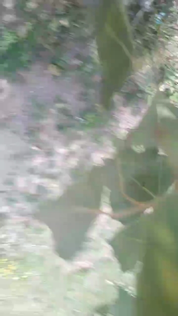 MojoMD  05-09-2021 Recorded Video Naked